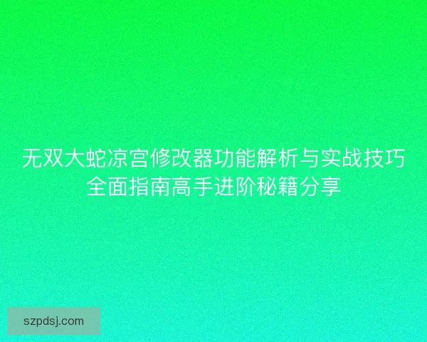无双大蛇凉宫修改器功能解析与实战技巧全面指南高手进阶秘籍分享