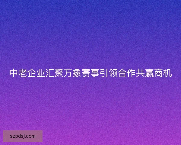 中老企业汇聚万象赛事引领合作共赢商机