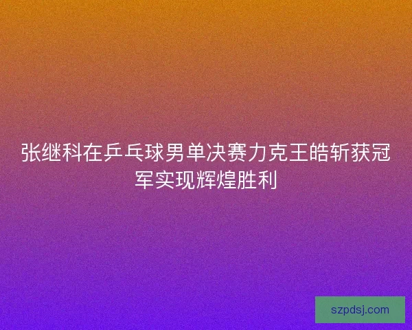 张继科在乒乓球男单决赛力克王皓斩获冠军实现辉煌胜利