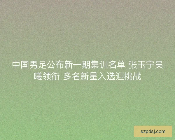 中国男足公布新一期集训名单 张玉宁吴曦领衔 多名新星入选迎挑战 中国男足公布新一期集训名单 张玉宁吴曦领衔 多名新星入选迎挑战